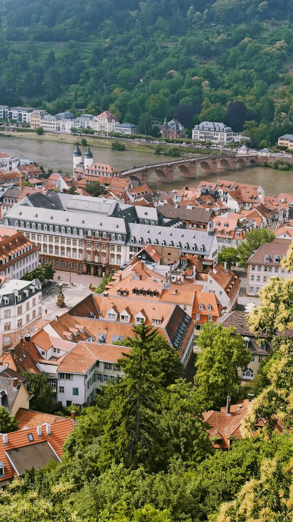 Heidelberger Altstadt mit Alter Brücke am Neckar